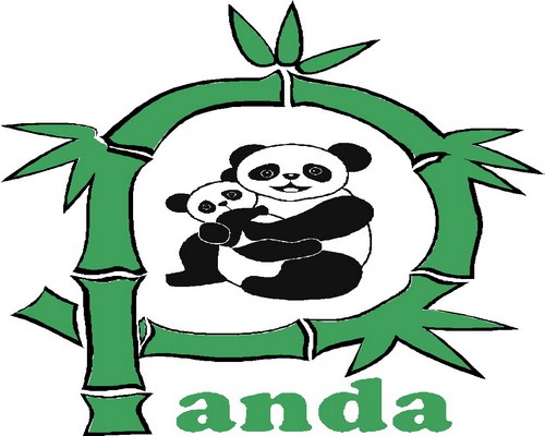 Trường mầm non Panda